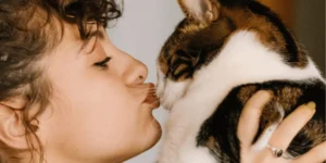 Regalos para Amantes de los Gatos: 100 Ideas únicas y Originales 😽