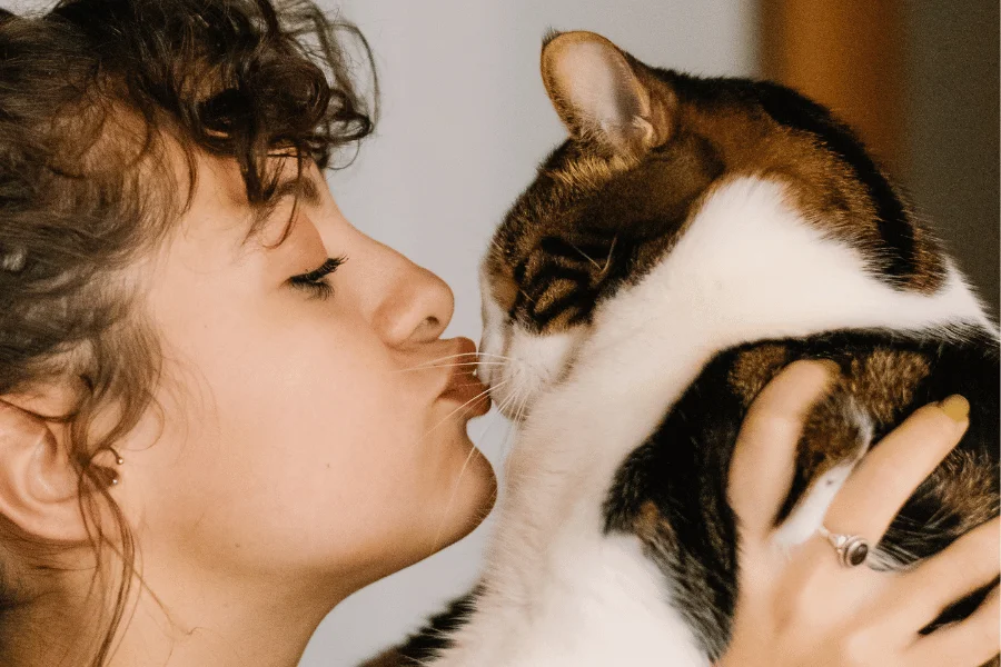 Regalos para Amantes de los Gatos: 100 Ideas únicas y Originales 😽 Regalos para amantes de los gatos: portada