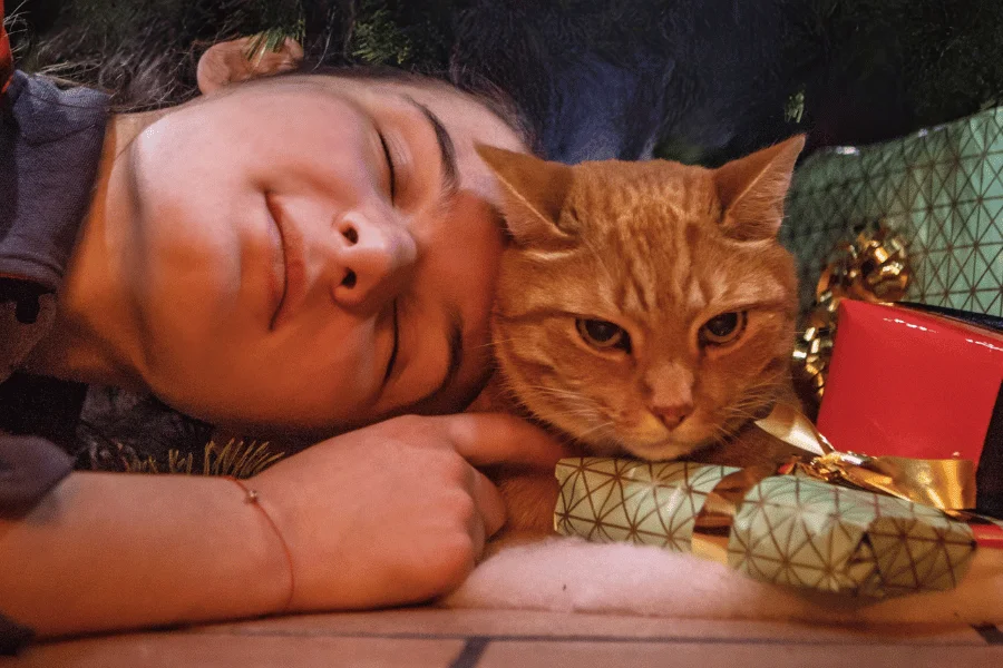 Regalos para Amantes de los Gatos: 100 Ideas únicas y Originales 😽 Regalos para amantes de los gatos: preguntras