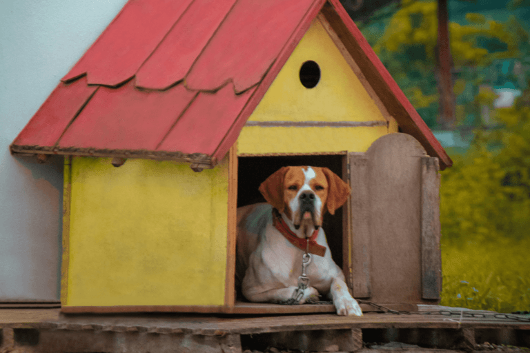 Casetas para perros grandes exterior