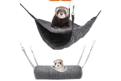 El Hurón como Mascota: Todo lo que Necesitas Saber 🦝 El Hurón como Mascota: amaca