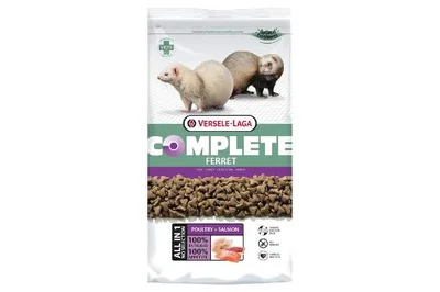 El Hurón como Mascota: Todo lo que Necesitas Saber 🦝 El Hurón como Mascota: comida rica en proteinas