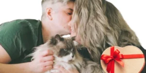 Regalos Gatunos Sorprendentes para Amantes de los Felinos 😽