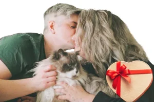 Regalos Gatunos Sorprendentes para Amantes de los Felinos 😽