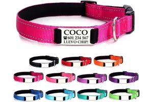 Nombre de Perro: Cómo Elegir el Mejor en 2025 🐶 Collar con nombre de perro