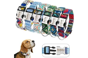 Nombre de Perro: Cómo Elegir el Mejor en 2025 🐶 Collar con nombre de perro