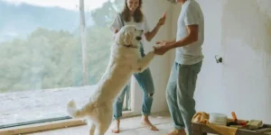 Nombre de Perro: Cómo Elegir el Mejor en 2025 🐶