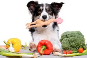 Alimentos Tóxicos para Perros: ¡Protege su Salud Ahora! 🍖🐶