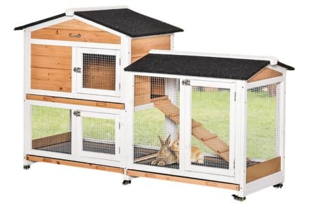 Un Conejo como Mascota: Razas, cuidados y productos esenciales 🐰 Caseta para conejos