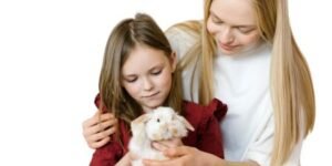 Un Conejo como Mascota: Razas, cuidados y productos esenciales 🐰