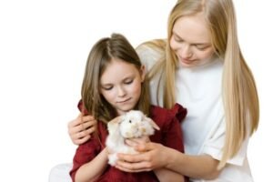 Un Conejo como Mascota: Razas, cuidados y productos esenciales 🐰