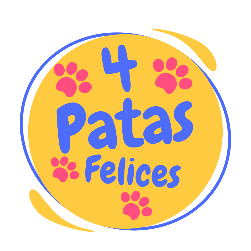 Mi perro no quiere comer: Descubre ya por qué y qué hacer 🐶❤️ Mi perro no quiere comer : video en YouTube