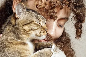 El Lenguaje Corporal de los Gatos: Aprende a Descifrarlo